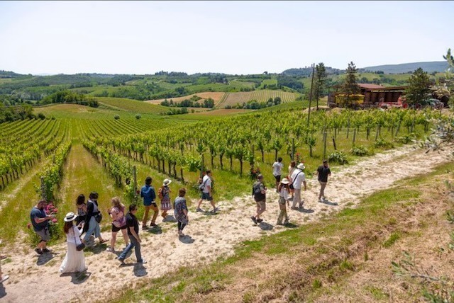 The Best of Tuscany